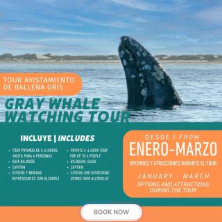 Puerto San Carlos Bay House & Tours -1st & 2nd Floor- - 8