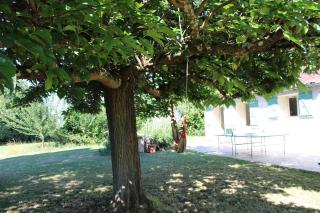 Oasis du Quercy - Montaigu-de-Quercy - 7