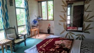 Jungle Jive Treehouse and Farm house - Munnar - 4