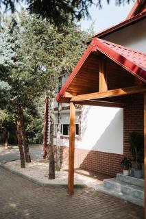 Snagov Forest Villa - Ciolpani - 7