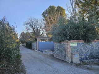 Vega de la Reina - Jaén - 9