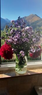 Guesthouse Irina Family Hotel - Tsvirmi - 3