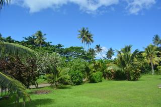 Jima's Home Retreat - - 8