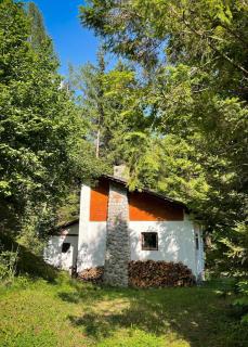 Designer Riverfront Cottage - Podljubelj - 5