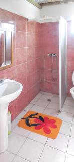 Appartement confortable à Capesterre, 40 m², jardin agréable - 2