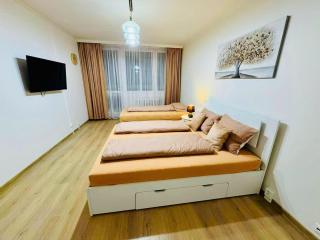 Apart for rent near center - Praga - 0