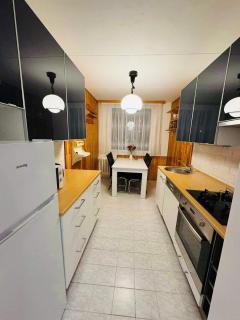 Apart for rent near center - Praga - 6