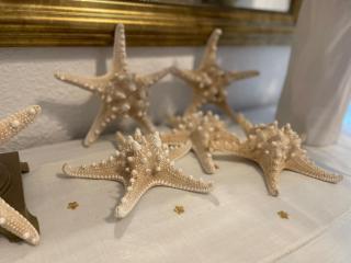 Beachfront 75 - Torrox - 5