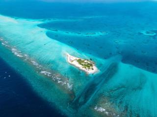 Pavona Maldives - Gaafaru - 6