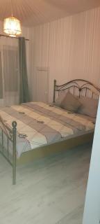 Tina Guest House - Basarabi - 7