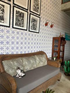 Hotel Pousada Casuarinas - Recife - 9