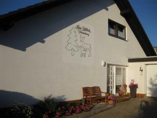 Haus Rehblick - Bräunlingen - 9