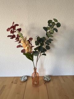 Cocon Cosy Gare St Roch - Montpellier - 6