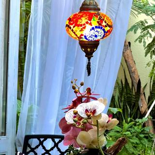 Dickinson Guest House, Guadalajara Expo - 3