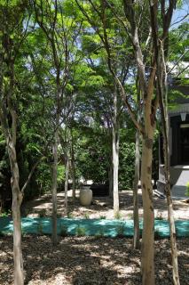 The Black House - Robertson - 7