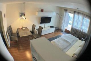 Ferienwohnung-Panoramablick - Oberreute - 9