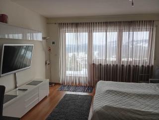 Ferienwohnung-Panoramablick - Oberreute - 5