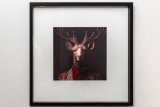 AirHome - Royal Family - 9