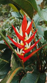 Charó Espacio Vivo - 6