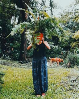 Charó Espacio Vivo - 3