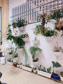 Hostel Nhà Thỏ - Gần Chợ Đà Lạt - 1