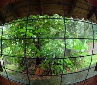 Sitio Flor do Coriscão Paraty - 1