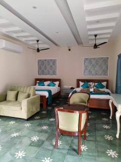 Le French Nest - 3