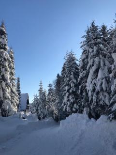 Dom na Wynajem - Bartoszówka - Ochotnica Górna - 6