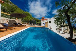 Calming Area Villa with Infinity Pool - Babino Polje - 8