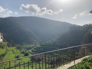 Fândega House - Rural Tourism - Loriga - 1