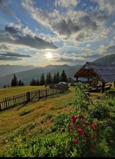 Goca Čakorski Konaci - Plav - 0