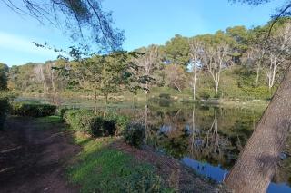 Apartment with balcony near beach - 0