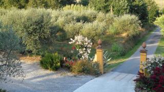 Nette Ferienwohnung In Collodi - Collodi - 6