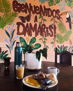 Damaris Hostel - 1