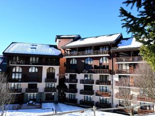 2 pièces, 5 pers, proche pistes/commerces, animaux admis - FR-1-411-793 - 1