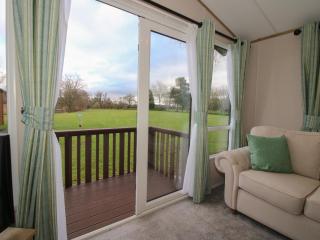 Owl - Leominster - 7