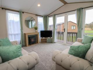 Owl - Leominster - 5