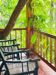 The Hidden Treehouse - Massalapitiya - 2