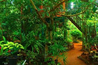 The Hidden Treehouse - Massalapitiya - 1