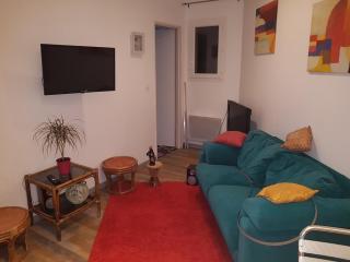 Appartement au coeur des vignes region pic st Loup - 8