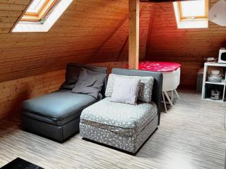 Attic Loft with rooftop terrace! - Zurigo - 7