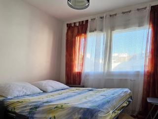 Le Tresor Alpin, vue lac, 2 chambres, garage - Annecy - 9