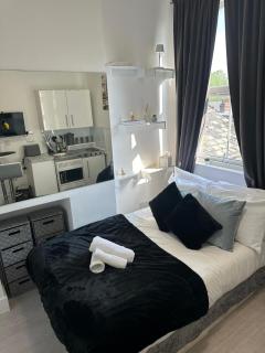Compact and Bright Studio Flat West London 3A - Londra - 0