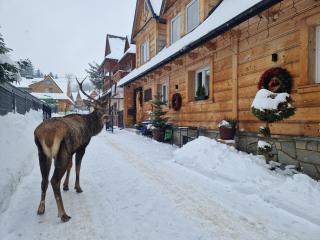 Pokoje Gościnne BENITA - 9