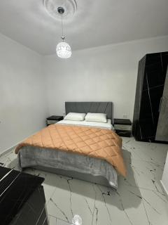 Golden Bliss Apartment - Tirana - 8