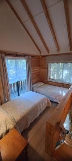 Nidos del Chucao - 1