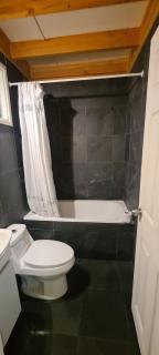 Nidos del Chucao - 4