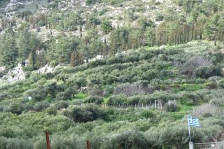 Κonaki Apartment - Archanes - 1