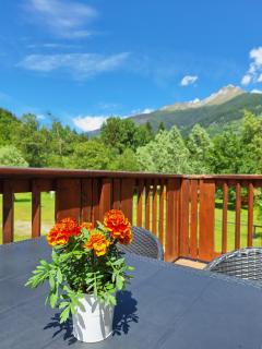Chalet Presanella - Temù - 6