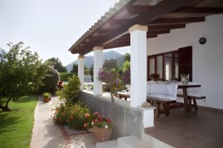 Camp de l'Alzina - Pollensa - 7